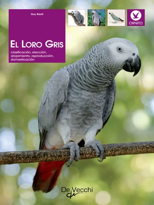cover image of El loro gris